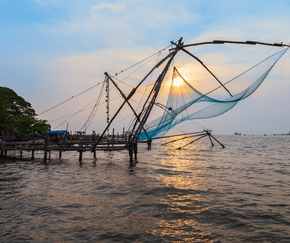 Chinese Fishing Nets